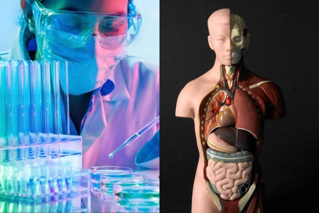 Is chemistry needed for anatomy and physiology?